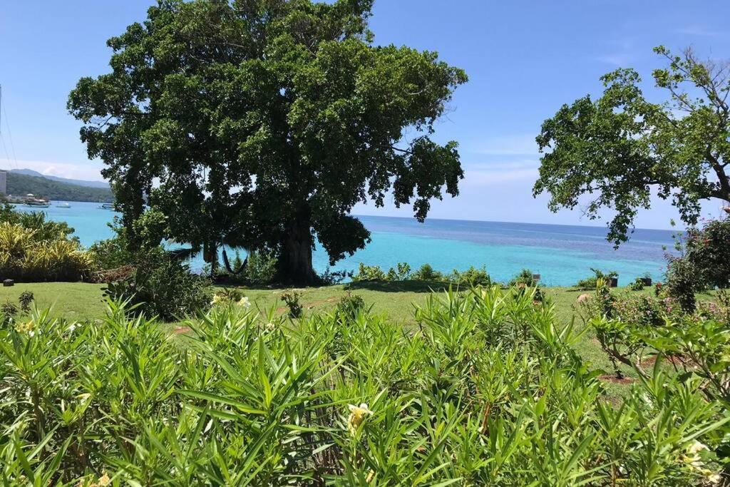 Contemporary Ocean View 2Bed Carib Ocho Rios Condo Eksteriør bilde